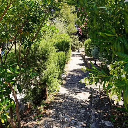 Goga Villa Vela Luka