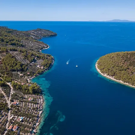 Villa Goga Vela Luka