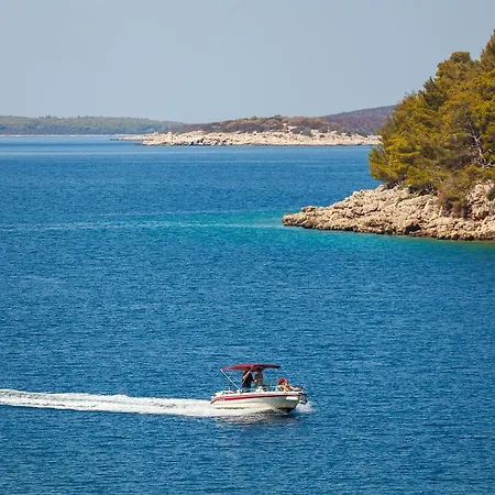 Goga * Vela Luka