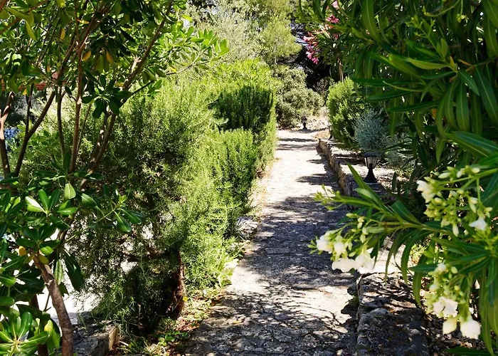 Goga Villa Vela Luka