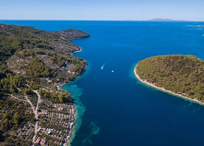 Villa Goga Vela Luka